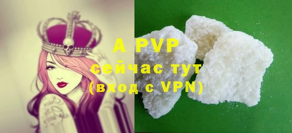 ешки Алексин