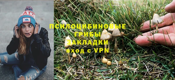 ешки Алексин