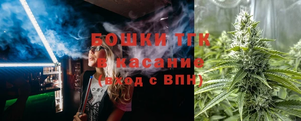 ешки Алексин